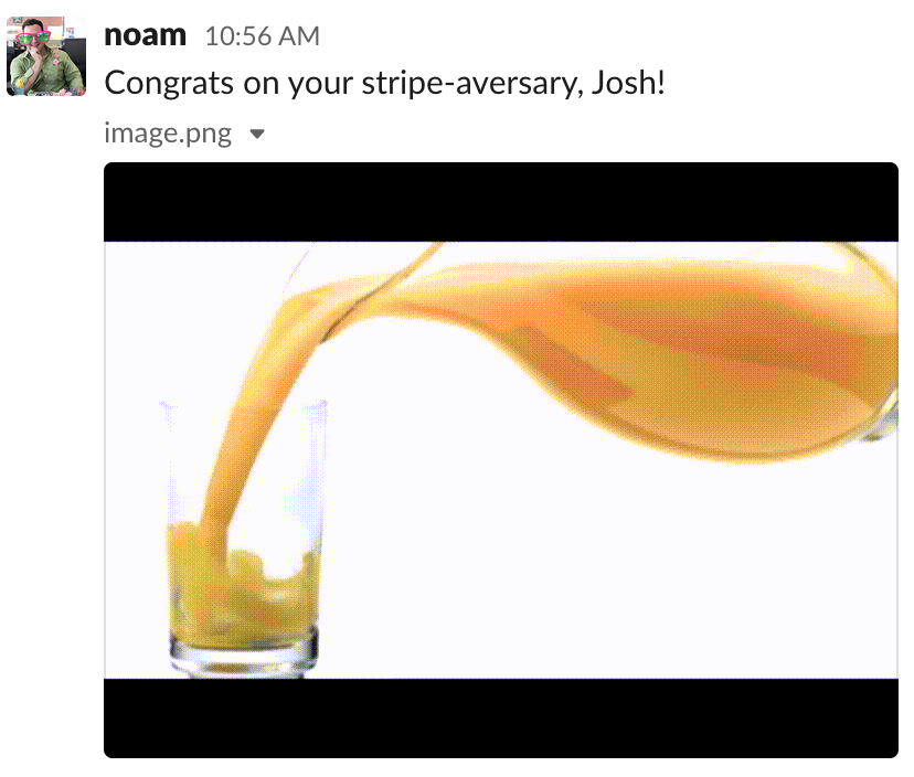 noam.png